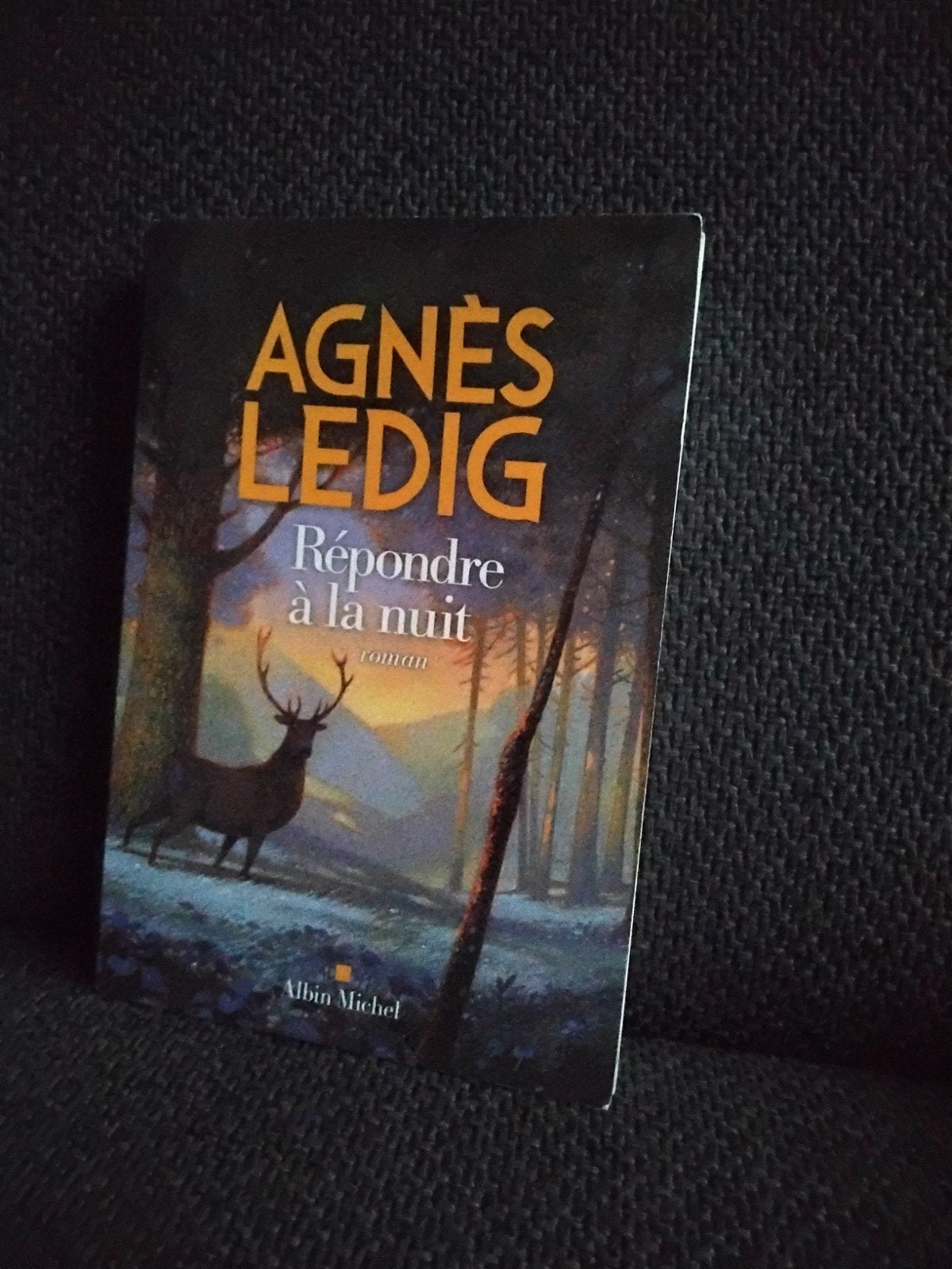 répondre à la nuit., Livres, Enlèvement