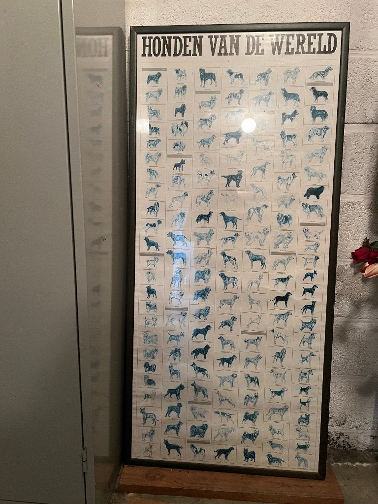 poster honden van de wereld, Ophalen, Gebruikt, Decoratieobject