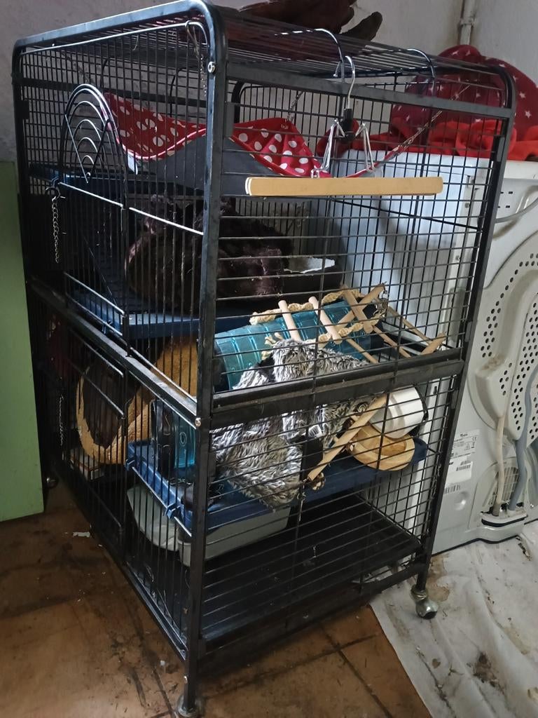 Fretten kooi, Dieren en Toebehoren, Ophalen, Kooi