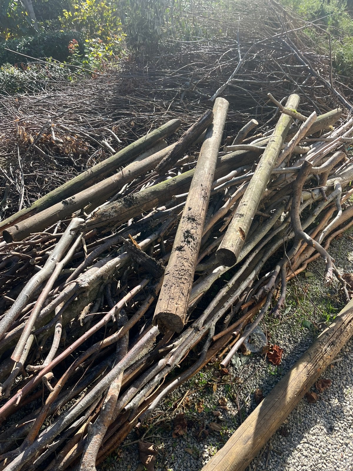 Gratis brandhout, Ophalen, Takken