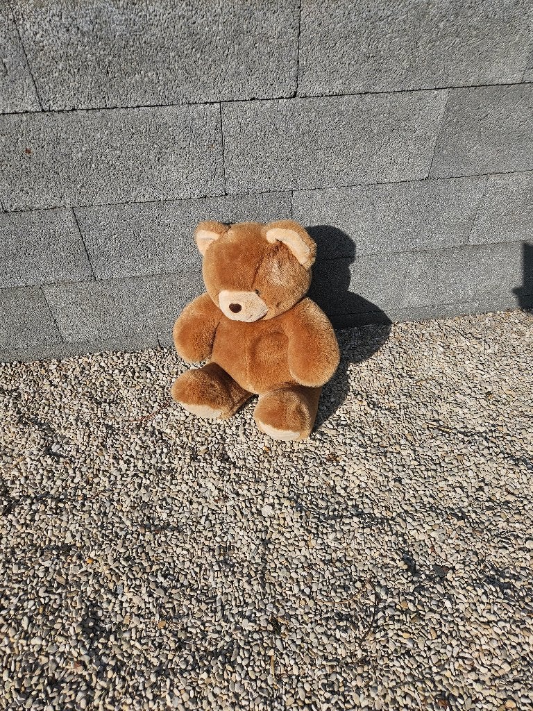 Peluche, Neuf, Brun, Ours, Enlèvement