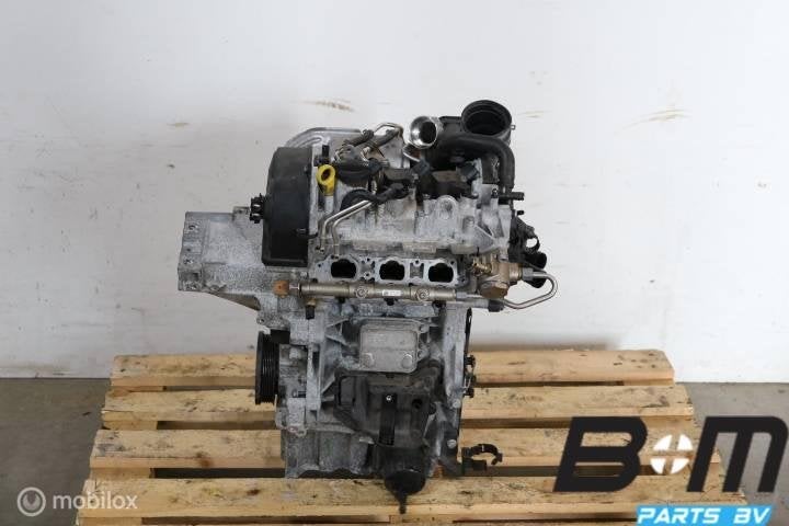 1.0 TSI CHZ motor VW Polo 2G 75822km CHZB, Utilisé
