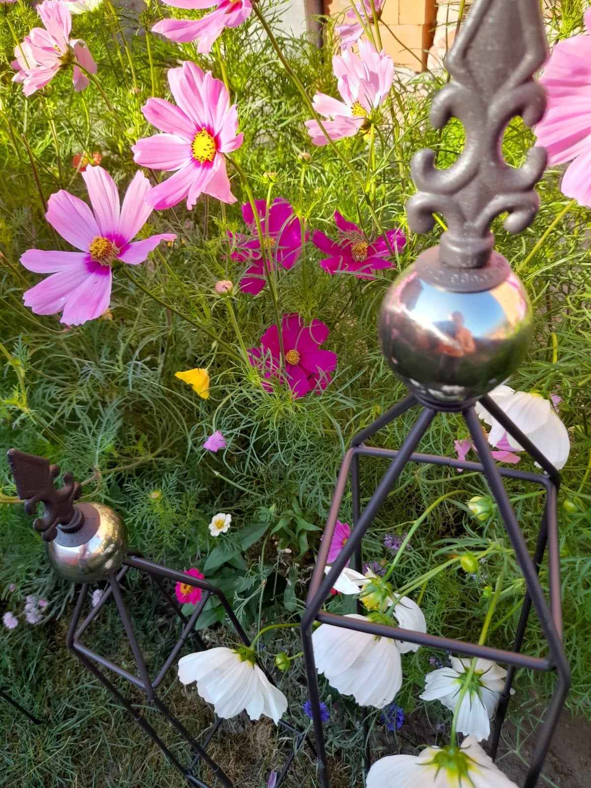 Plantensteun, Tuin en Terras, Ophalen