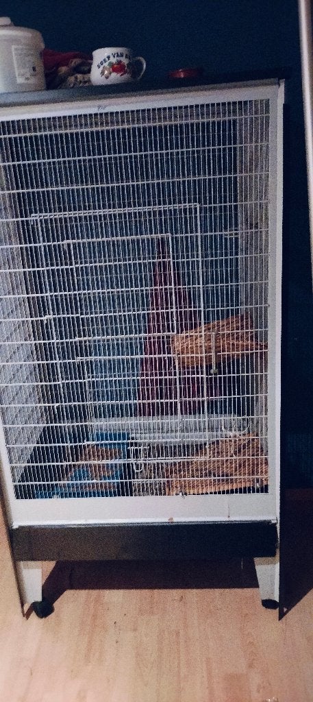 Kooi voor CHINCHILLA'S of andere knaagdieren., Ophalen, Kooi, Gebruikt, 90 cm of meer