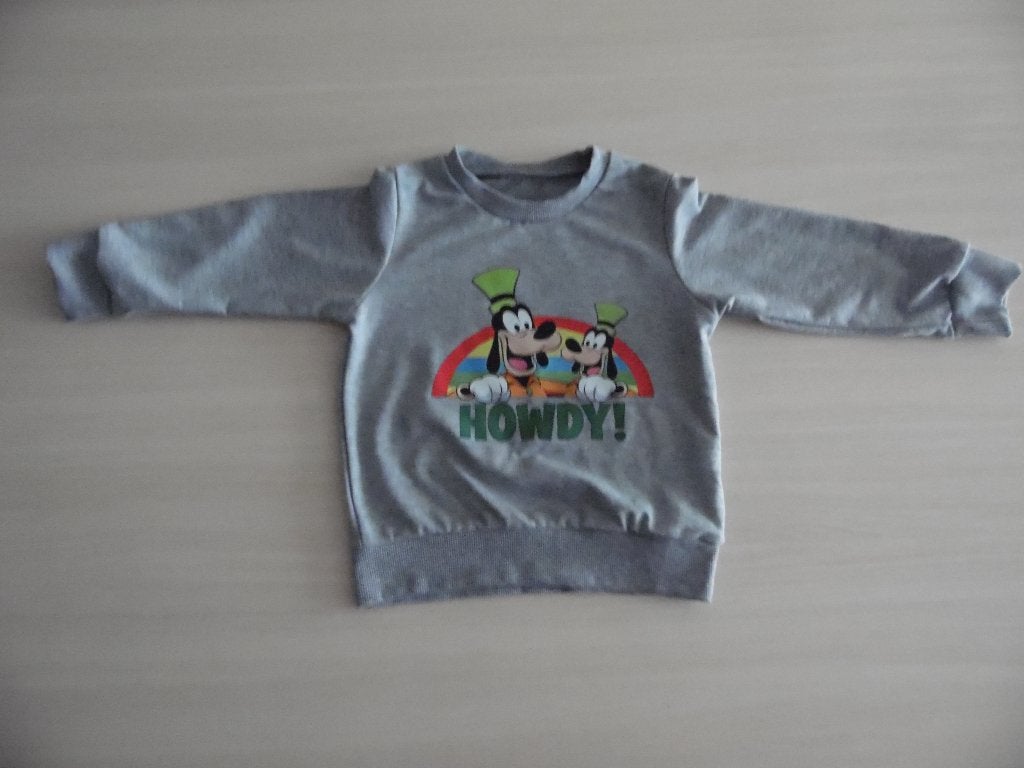 SWEAT DINGO DISNEY     NEUF, Garçon, Enlèvement ou Envoi, Pull ou Veste, Neuf