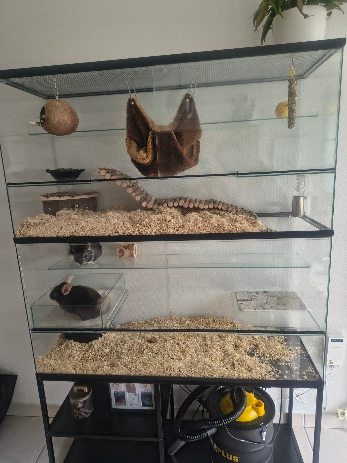 Terrarium uit glas, Dieren en Toebehoren, Ophalen