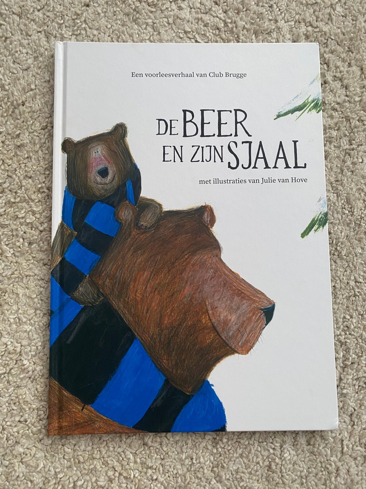 Club Brugge Boek de Beer en zijn Sjaal, Ophalen of Verzenden, Zo goed als nieuw