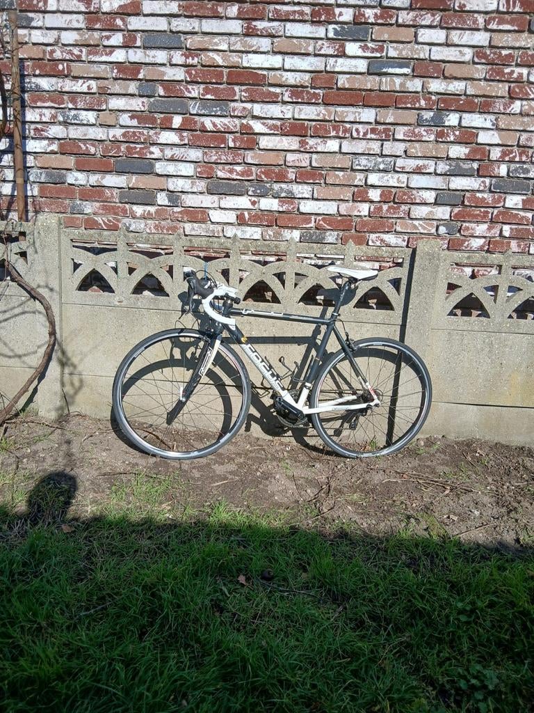 Focus racefiets maat M, Fietsen en Brommers, Fietsen | Racefietsen, Ophalen