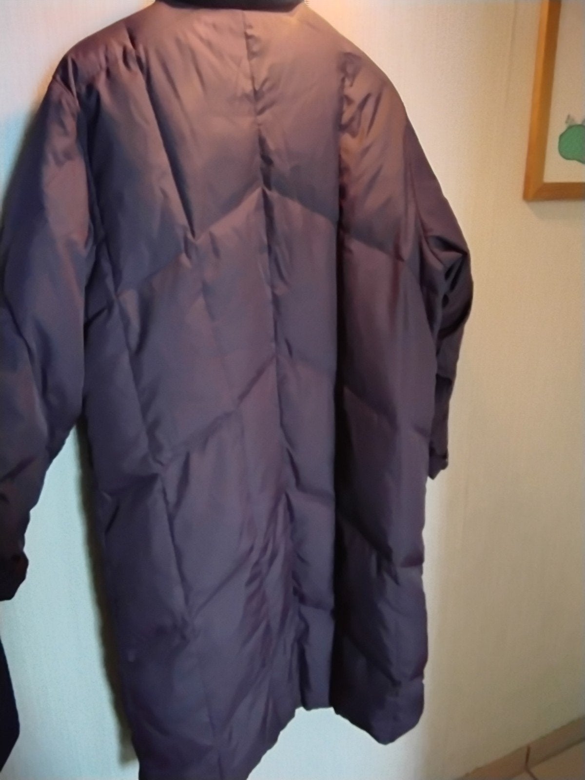 manteau d'hiver doublé de duvet, Enlèvement ou Envoi, Taille 42/44 (L)