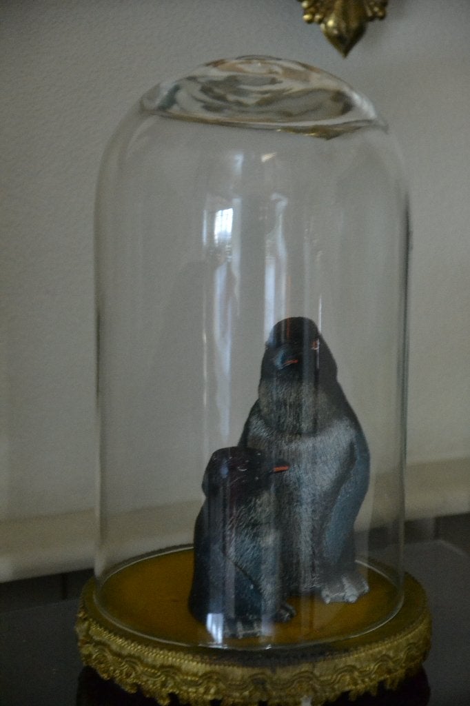 antieke stolp in glas, Ophalen