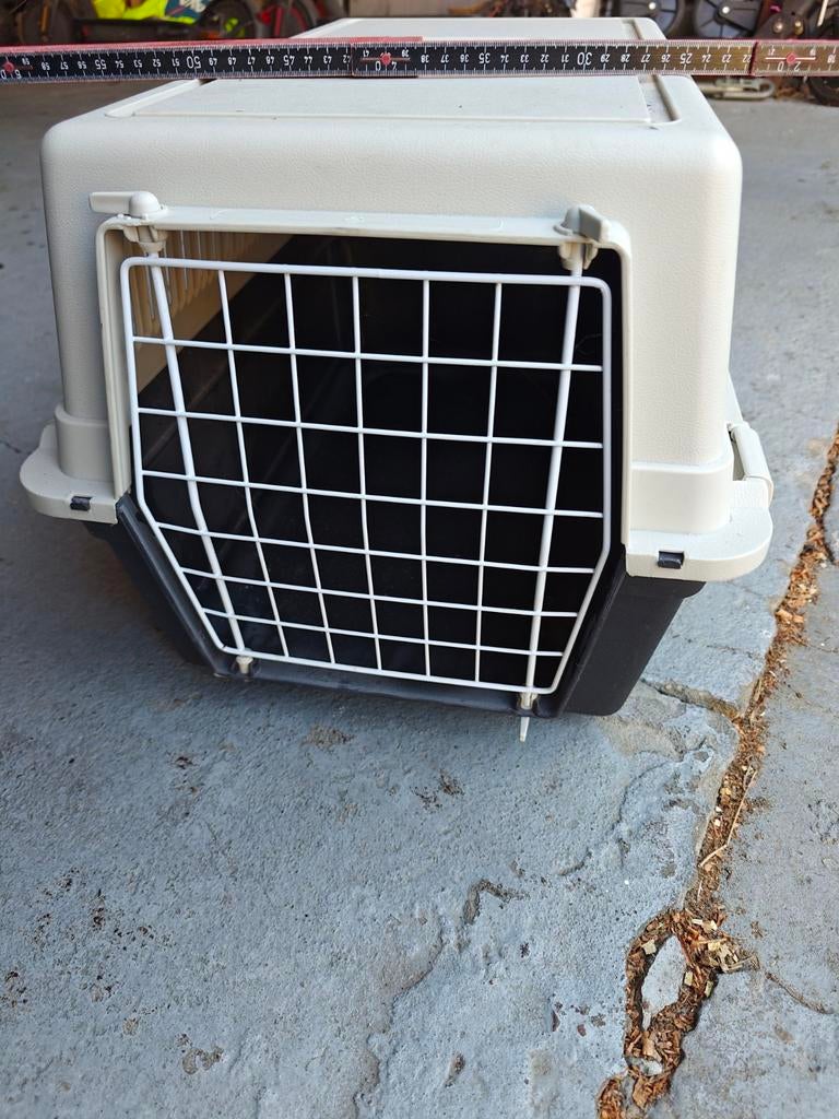 Cage de transport grand modèle petit chien grand chat, Animaux & Accessoires