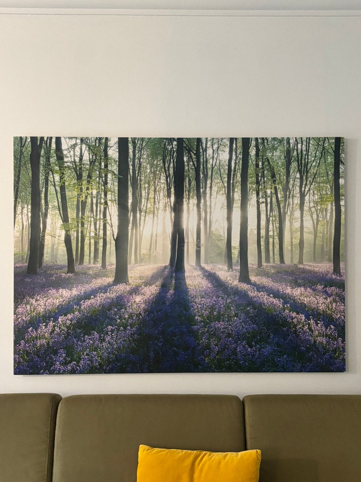 Kader muur decoratie Hallerbos, Ophalen, Zo goed als nieuw