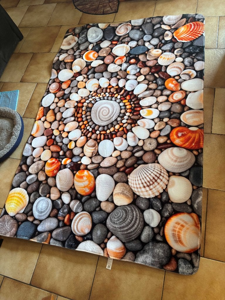 Realistisch 3D-vloerkleed met schelpen en kiezelstenen., 100 tot 150 cm, Nieuw, Ophalen of Verzenden, 150 tot 200 cm