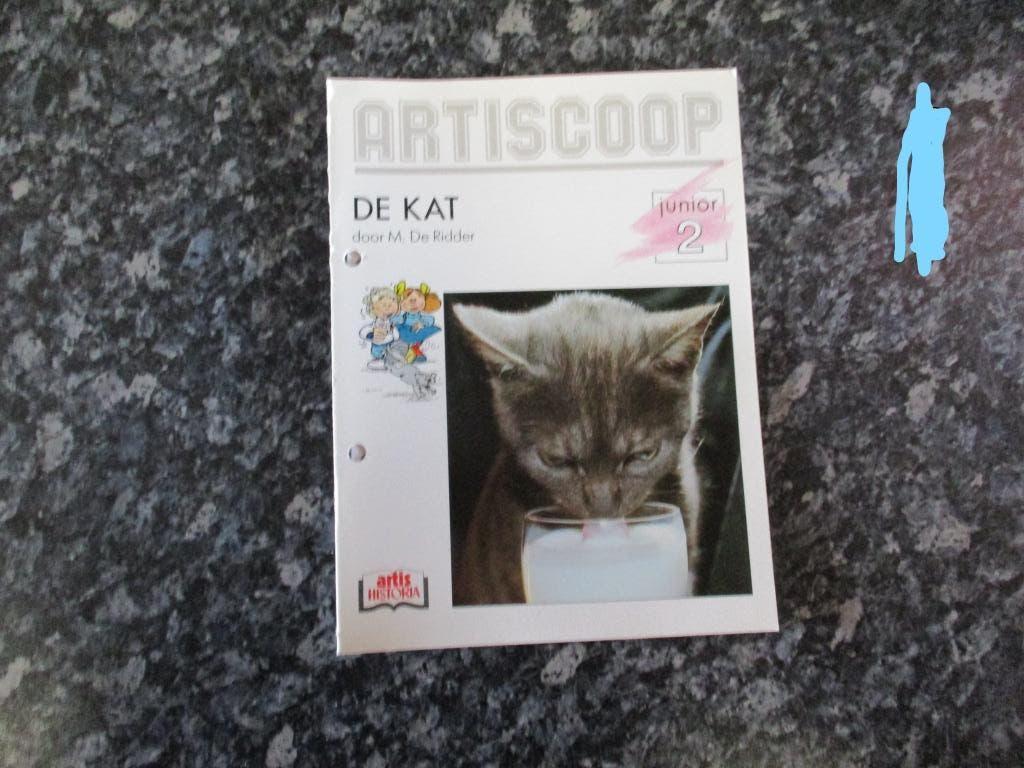 artiscoop junior de kat, Enlèvement ou Envoi, Comme neuf