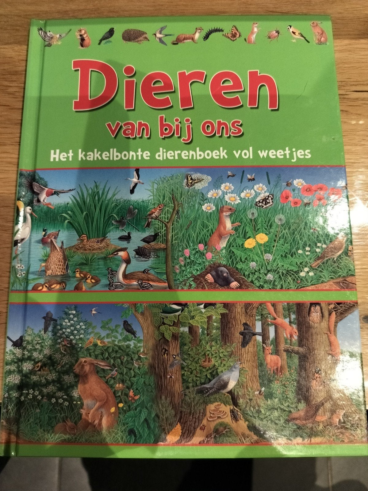 Dieren van bij ons - het kakelbonte dierenboek vol weetjes, Ophalen of Verzenden