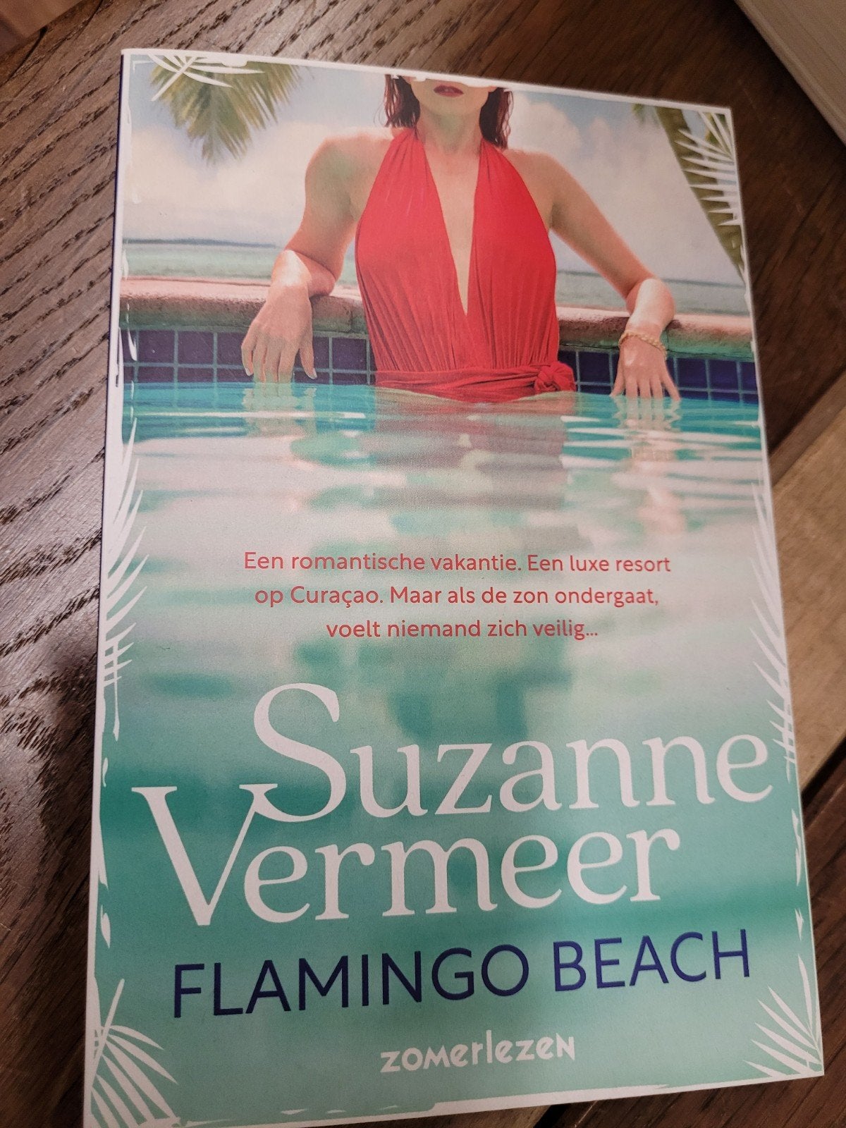 flamingo beach, Livres, Chick lit, Enlèvement ou Envoi
