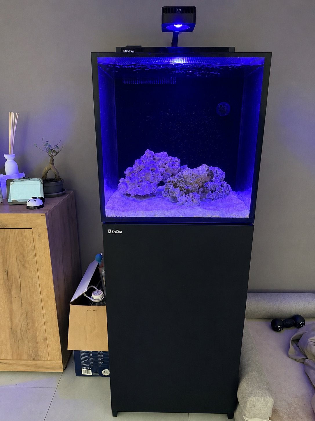 Red sea max nano G2 XL met osmose apparaat, Dieren en Toebehoren, Ophalen, Red Sea, Inclusief deksel, Zo goed als nieuw