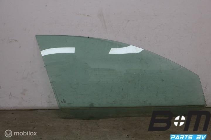 Portierruit RV VW Passat B7 var. 3C4845202B, Utilisé