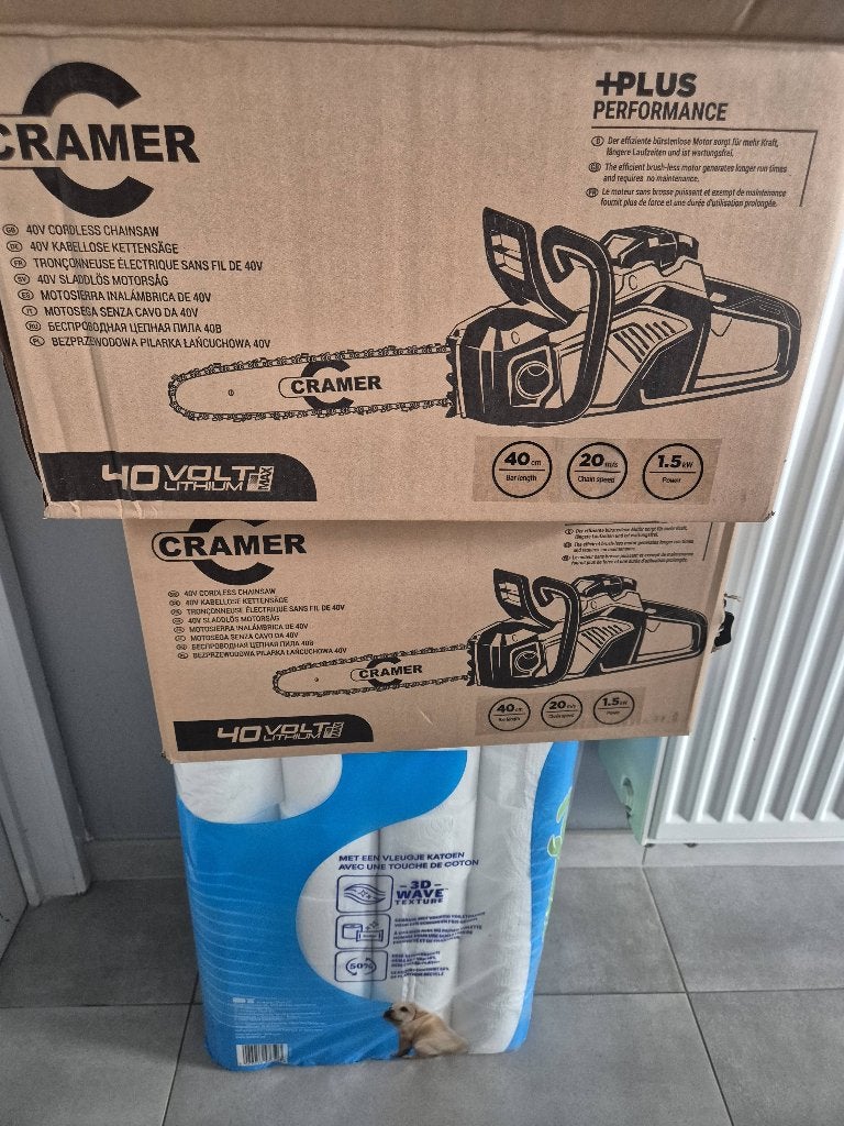 Tronçonneuse, Jardin & Terrasse, Outils à main, Enlèvement ou Envoi, Neuf