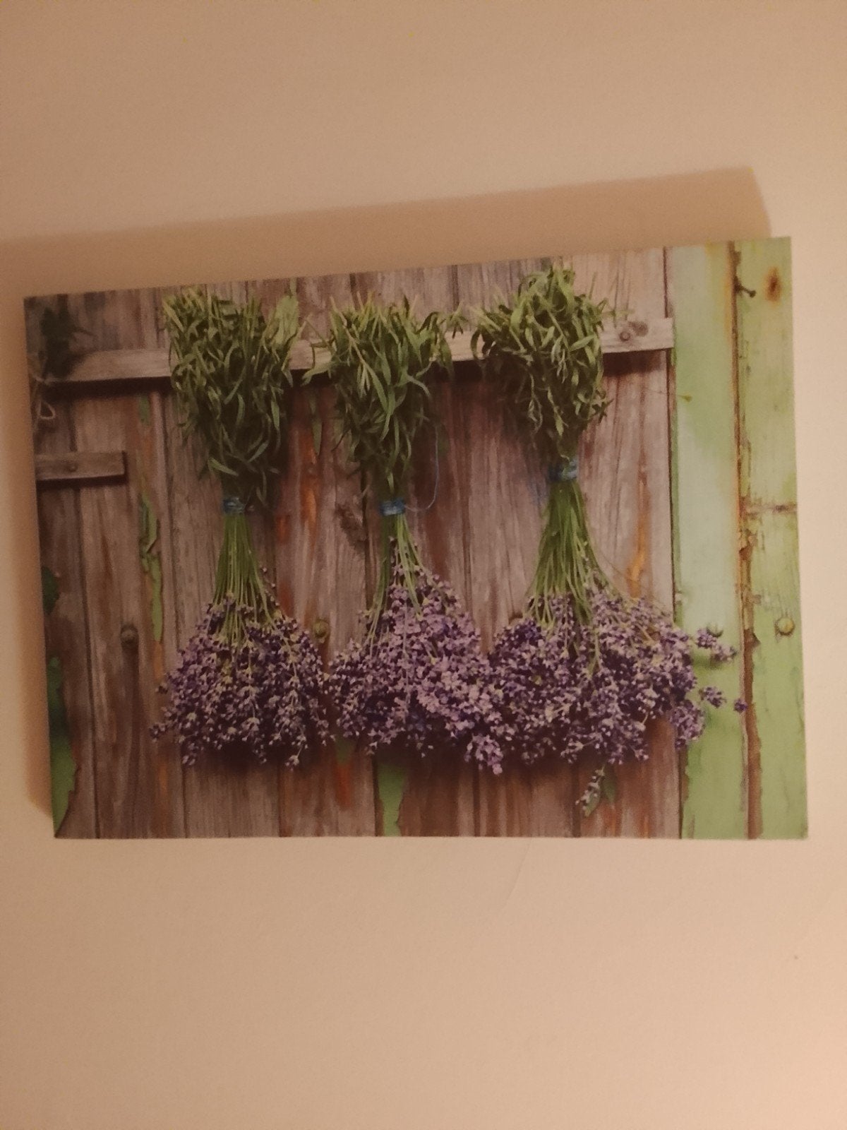 tableau peinture, Antiquités & Art, Enlèvement, Classique, Fleurs, Panneau