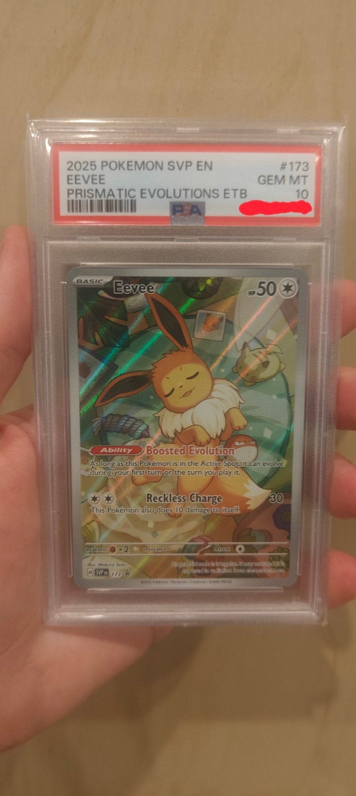 Eevee (SVP 173) PSA 10, Ophalen, Nieuw, Losse kaart