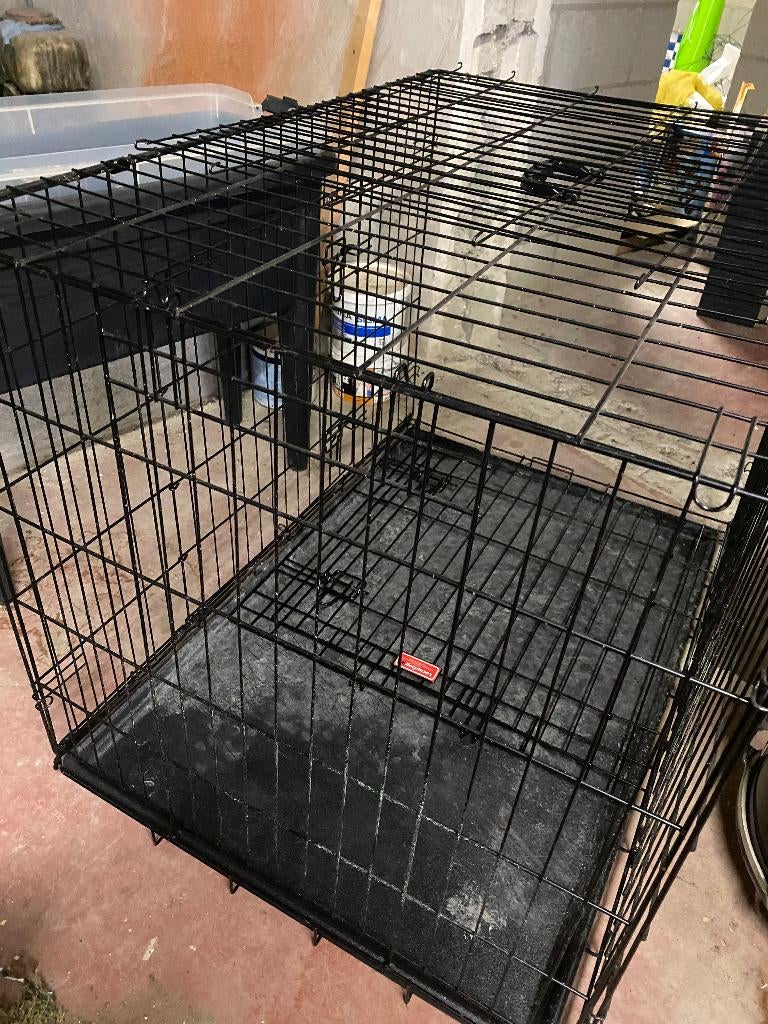 Hondenbench voor (middel)grote hond, Animaux & Accessoires, Maisons pour chiens, Enlèvement, Utilisé, Chenil chien, 75 à 110 cm