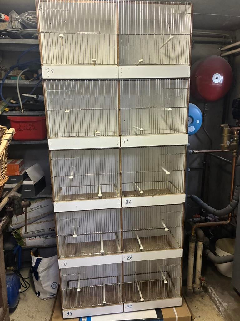 Kweekkooien, Animaux & Accessoires, Oiseaux | Cages & Volières, Utilisé, Cage d'élevage, Bois, Enlèvement