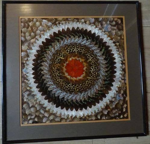 Mandala van echte vlindervleugels, Ophalen of Verzenden, Zo goed als nieuw, Knutselwerk