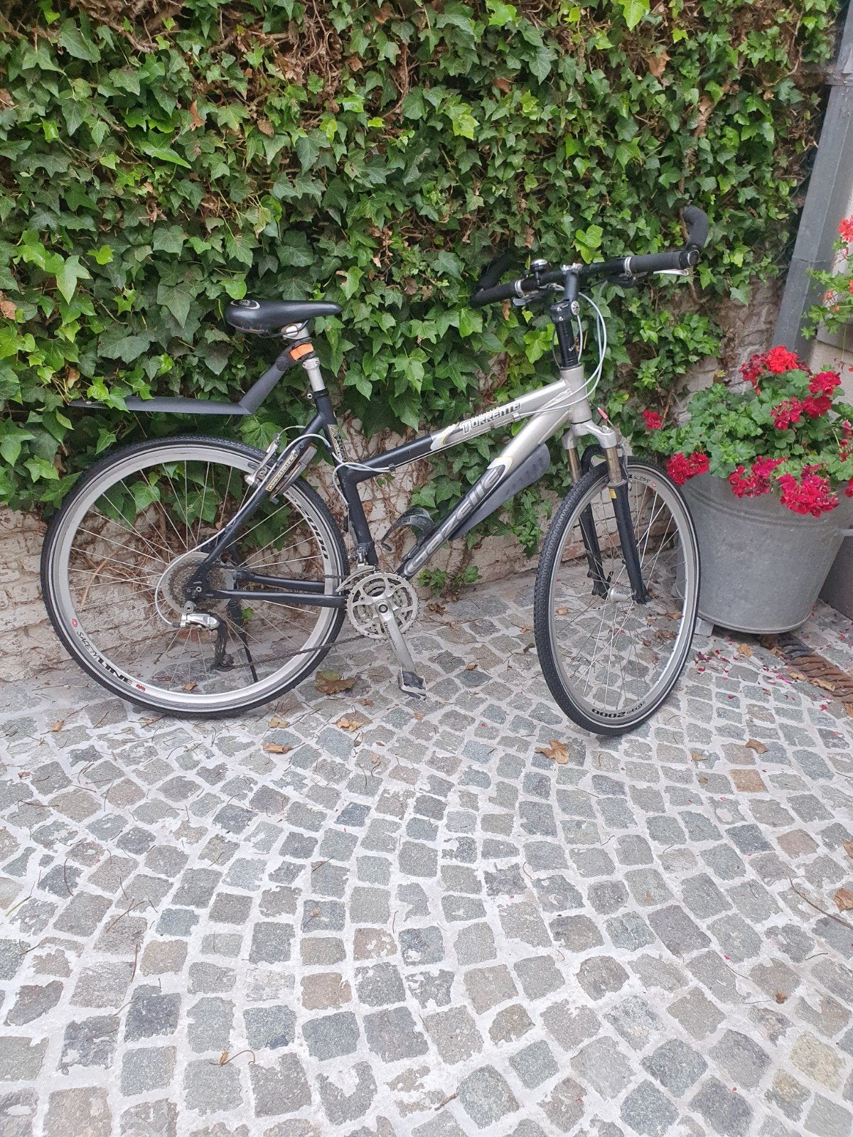 Heren fiets GAZELLE, Ophalen
