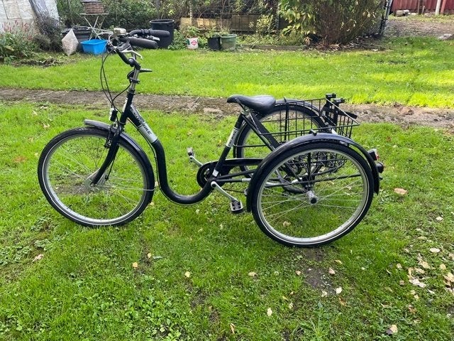 Driewielfiets in zeer goede staat, Ophalen, Zo goed als nieuw, Trommelrem, Tri Bike