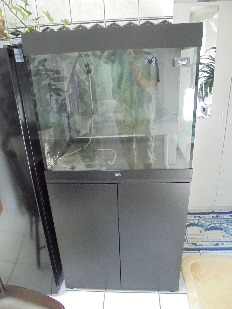 juwel lido 200, Animaux & Accessoires, Poissons | Aquariums & Accessoires, Utilisé, Aquarium vide, Couvercle inclus, Tuyaux inclus