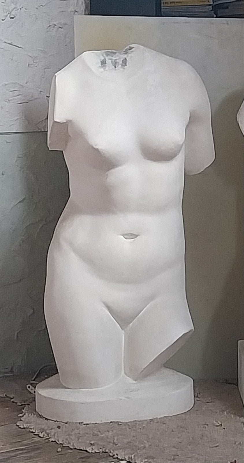 Statue de plâtre.  Venus de Milo., Enlèvement