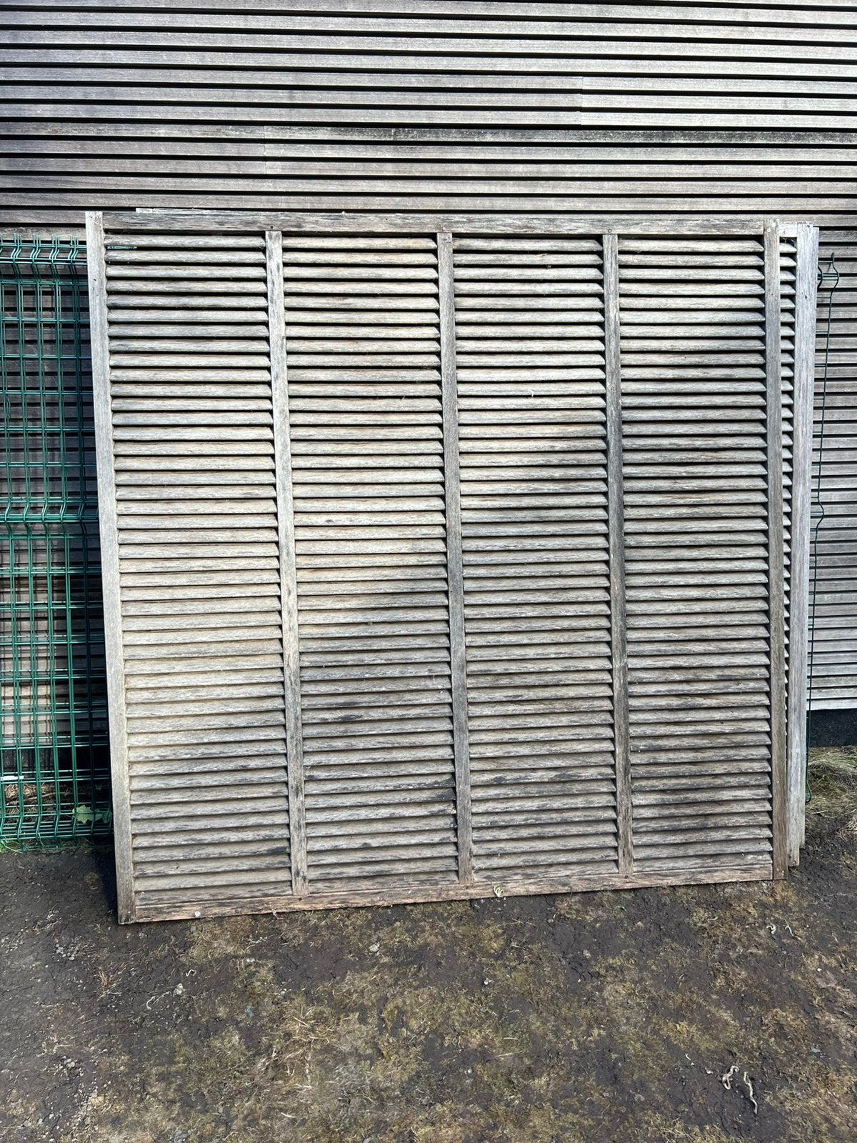 Tuinscherm 5 grote 2 halve, Ophalen, 6 meter of meer, Hout, 1 tot 2 meter