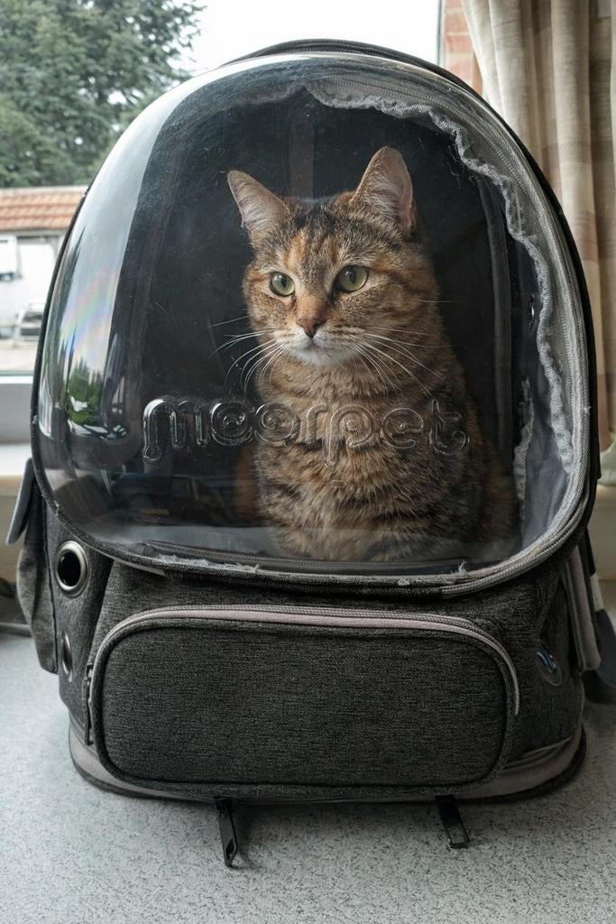 Sac à dos Moorpet pour chat avec fenêtre à bulles, Animaux & Accessoires, Accessoires pour chats, Enlèvement ou Envoi