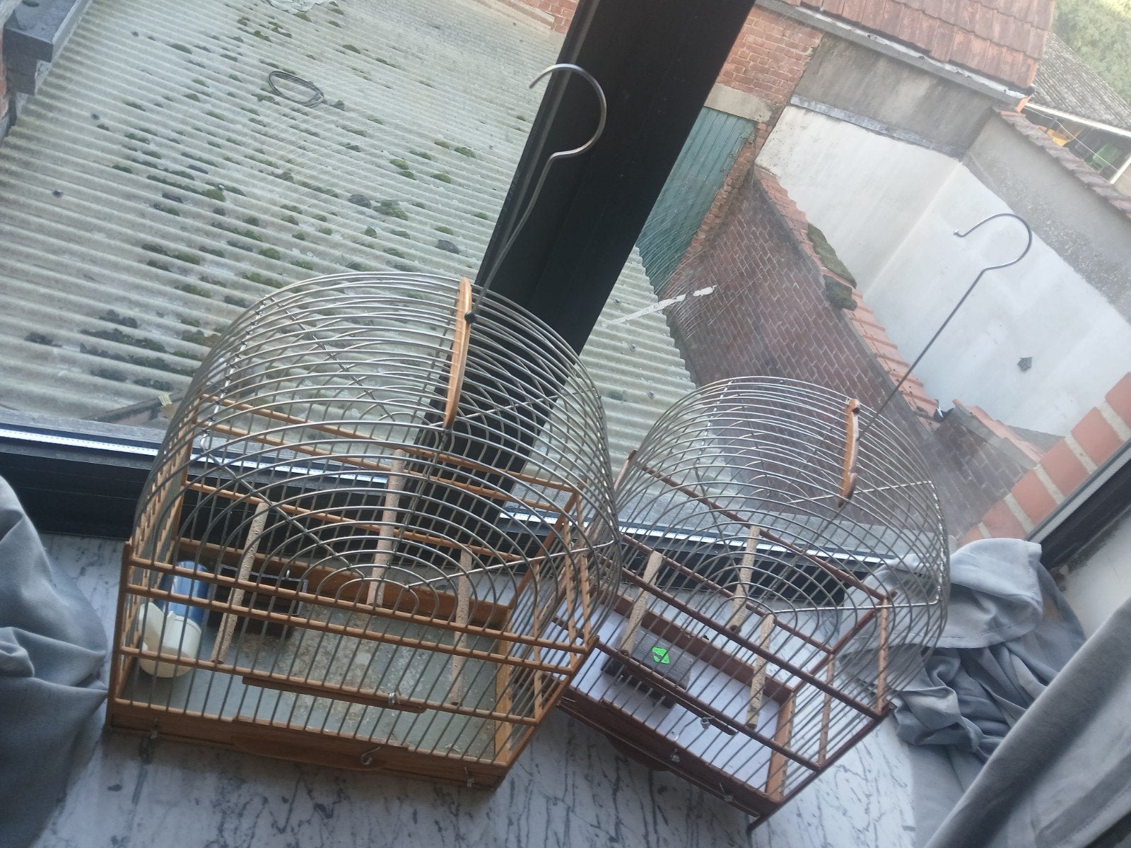 surinaamse vogelkooi, Ophalen, Vogelkooi