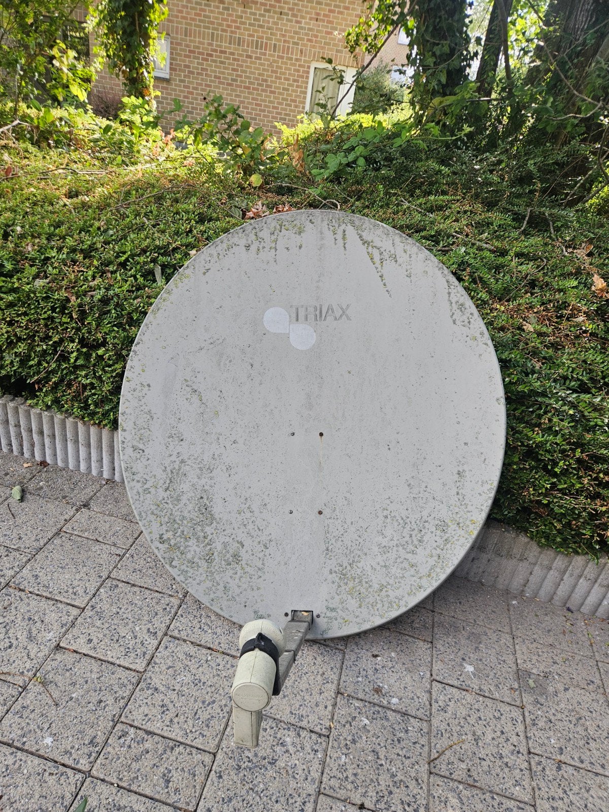 schotelantanne, Audio, Tv en Foto, Schotelantennes, Ophalen
