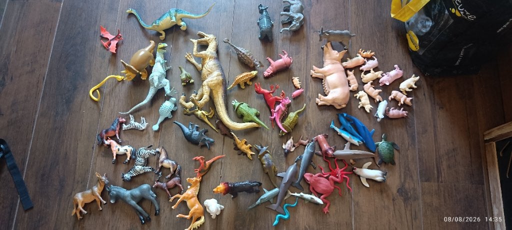 Dinosaures et autres figurines en plastique, Enlèvement, Utilisé