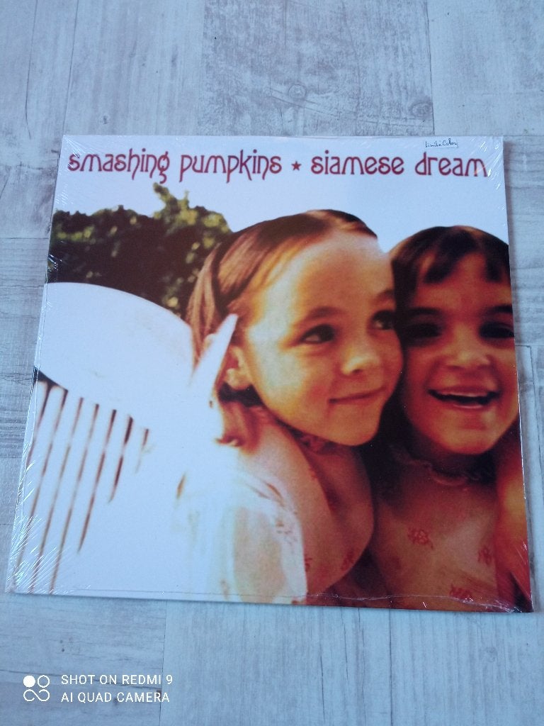 SIN89 / Smashing Pumpkins / Radiohead, CD & DVD, Vinyles | Autres Vinyles, Enlèvement ou Envoi, Neuf, dans son emballage, 12 pouces