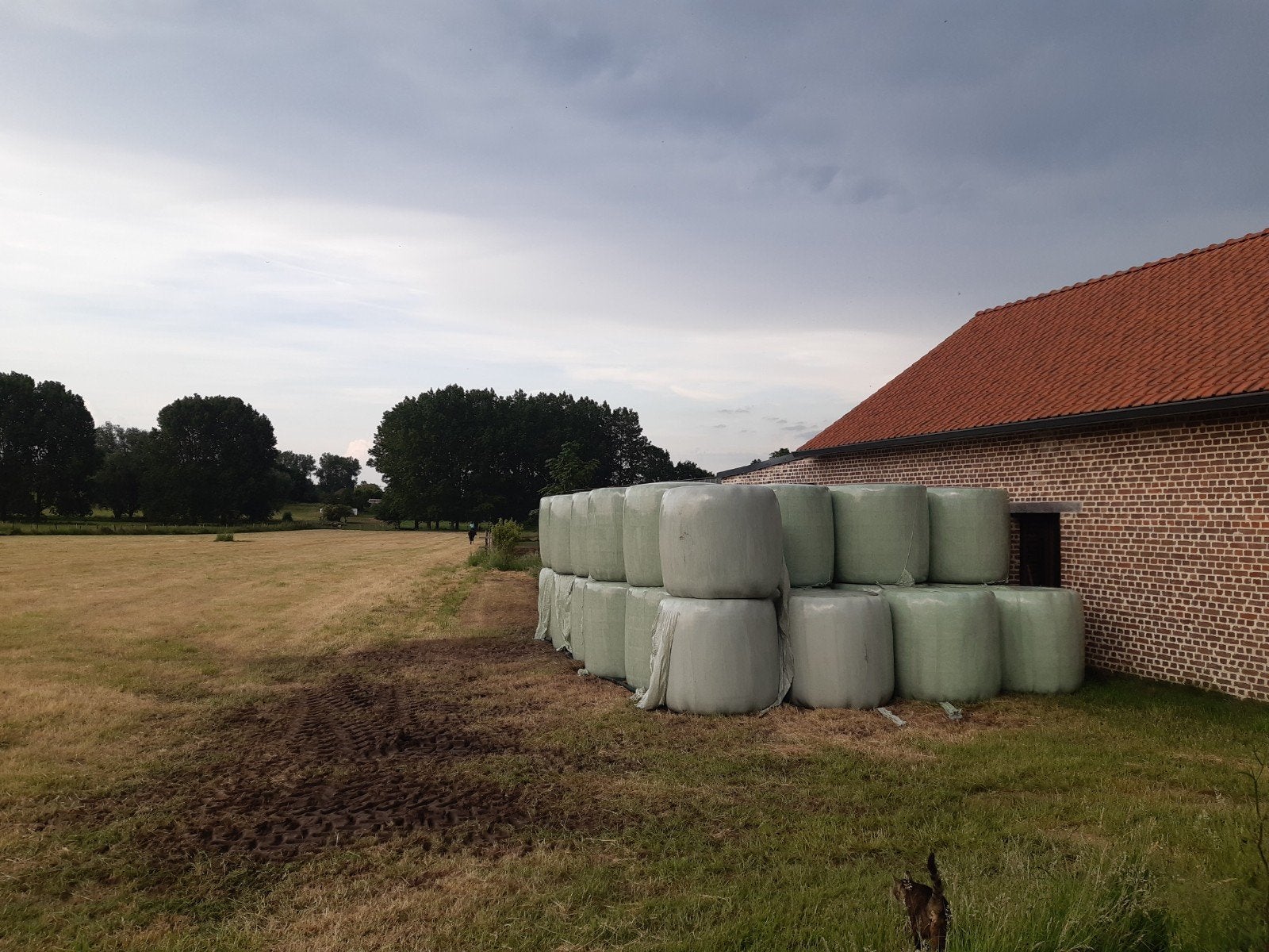 Gewikkelde balen hooi 2025, Ophalen