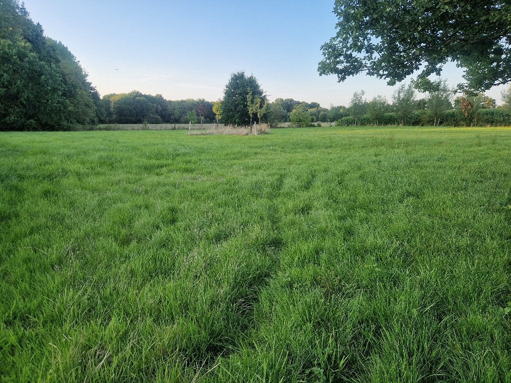 Weide- en terreinonderhoud met tractor & klepelmaaier, Jardin & Terrasse, Coupe-bordures, Enlèvement, Comme neuf, 50 cm ou plus