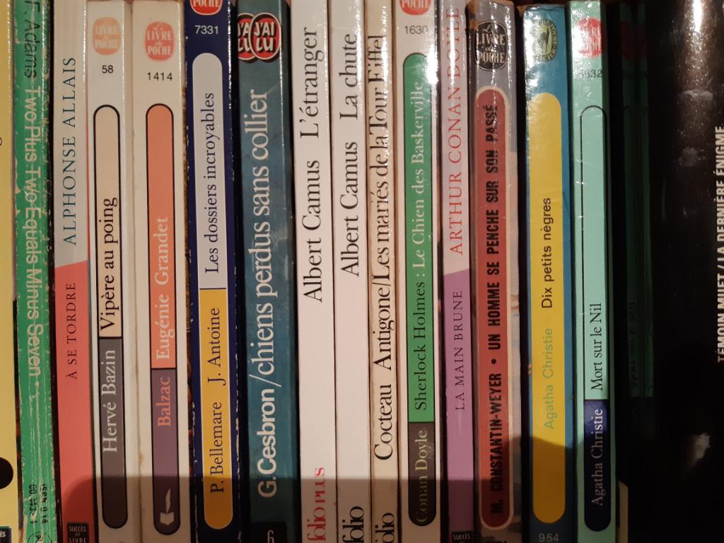 Zakboeken, romans in het Frans, Engels en „Amerikaans”, Ophalen of Verzenden, Gelezen