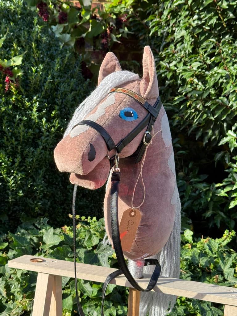 Hobby Horse Cam, Ophalen
