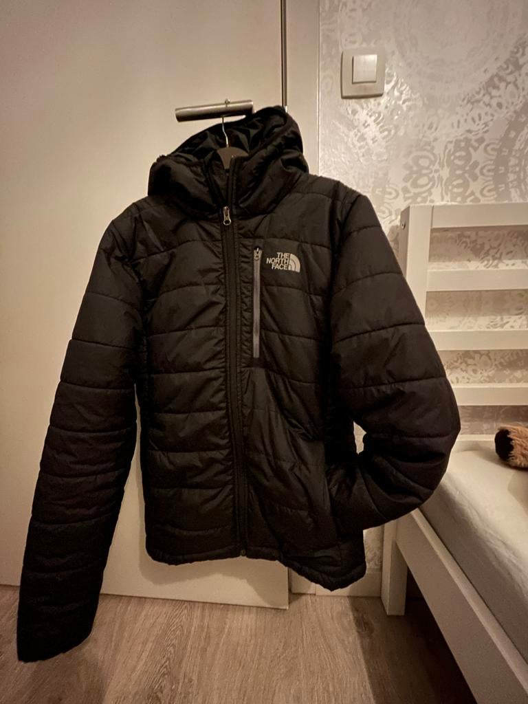 Veste The North Face pour homme, Enlèvement, Comme neuf, Taille 46 (S) ou plus petite