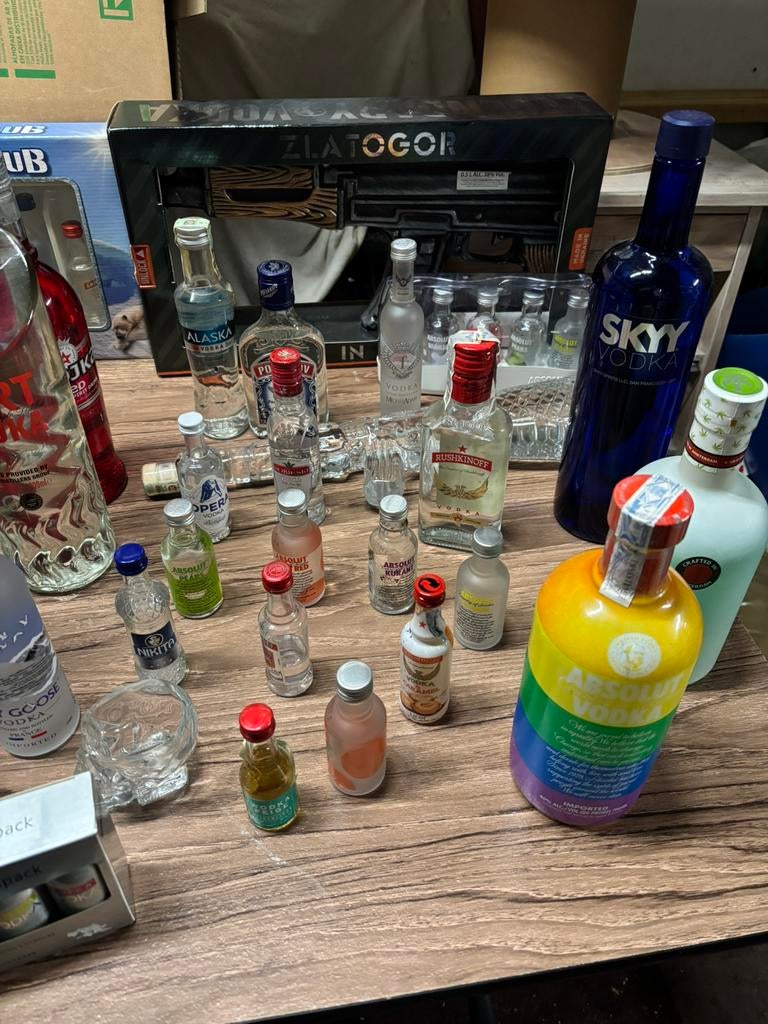 Enorme collection de plus de 100 bouteuilles de vodka !!, Collections, Vins, Comme neuf, Enlèvement