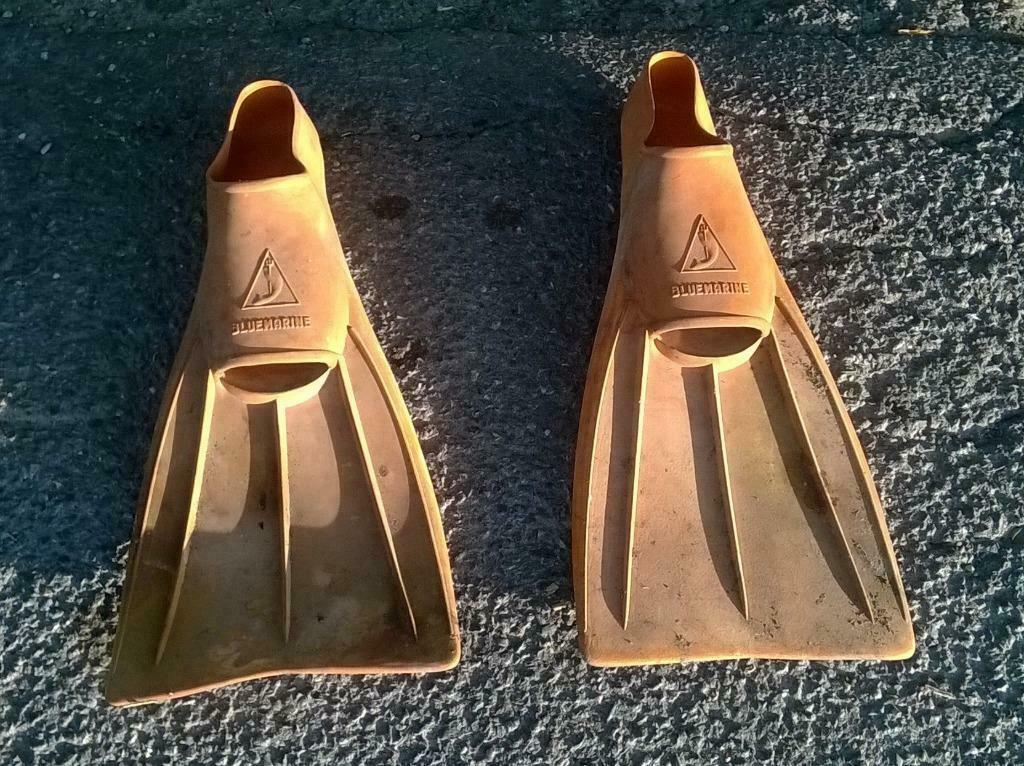 Paire de palmes (anciennes), Enlèvement ou Envoi, Utilisé