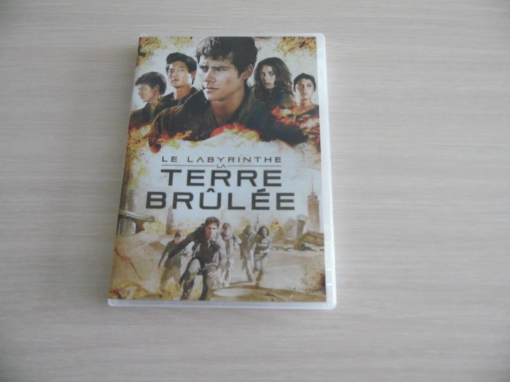 LE LABYRINTHE      LA TERRE BRÛLÉE, Tous les âges, Enlèvement ou Envoi, Comme neuf, Action