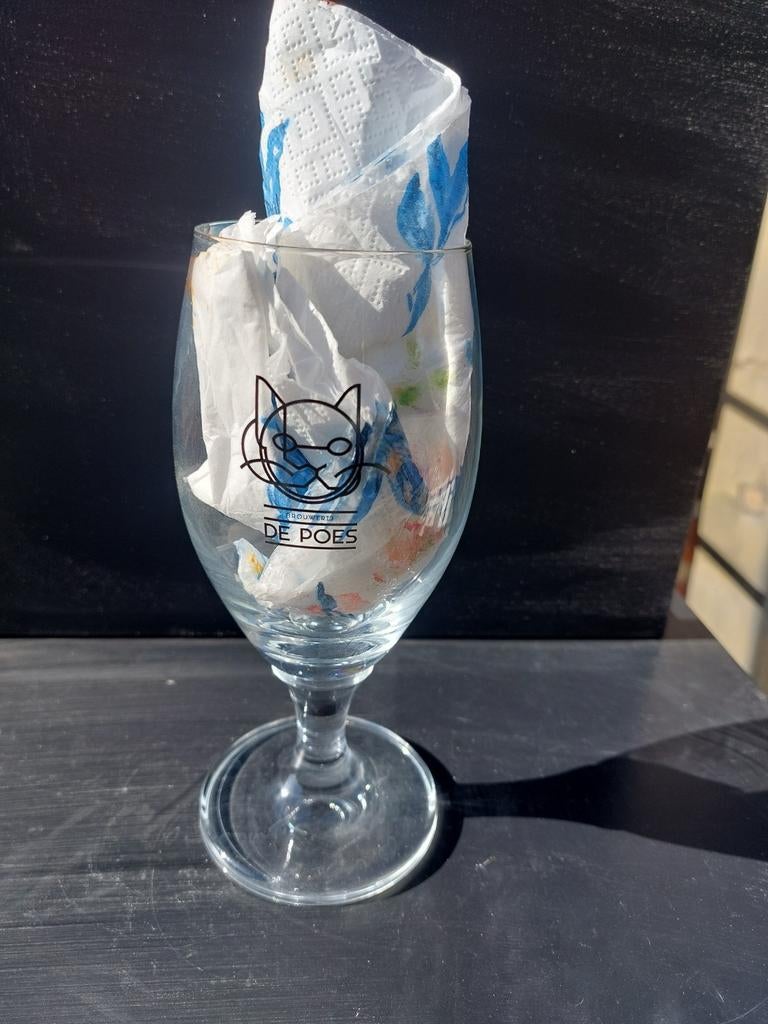 Bierglas Brouwerij De Poes, Ophalen of Verzenden, Zo goed als nieuw