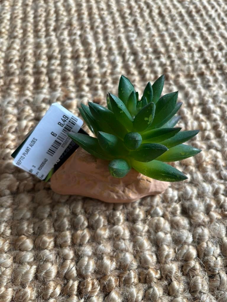 Kunstplant - AquaDistri – Repto Plant Aloes NIEUW, Dieren en Toebehoren, Ophalen of Verzenden, Nieuw, Terrarium of Paludarium