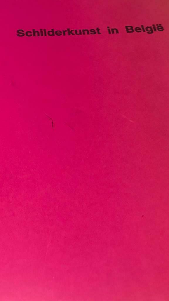Peinture en Belgique des années 1960, 210pag Raveel Van Seve, Enlèvement ou Envoi, Utilisé, Peinture et dessin