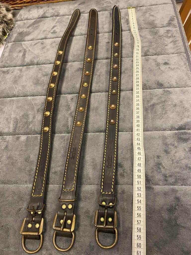 Lederen halsband van topmerk Ferplast., Enlèvement ou Envoi, Neuf